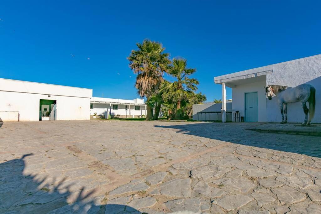 Habitaciones Rurales La Vega Tarifa Buitenkant foto